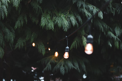 Everything You Need To Know About Festoon Lighting: Benefits and Best Places To Set It Up