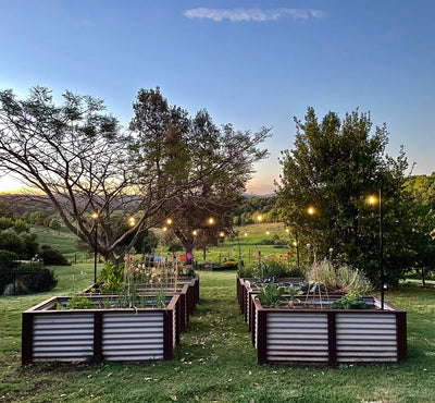 Do Solar LED Lights Need Direct Sunlight?